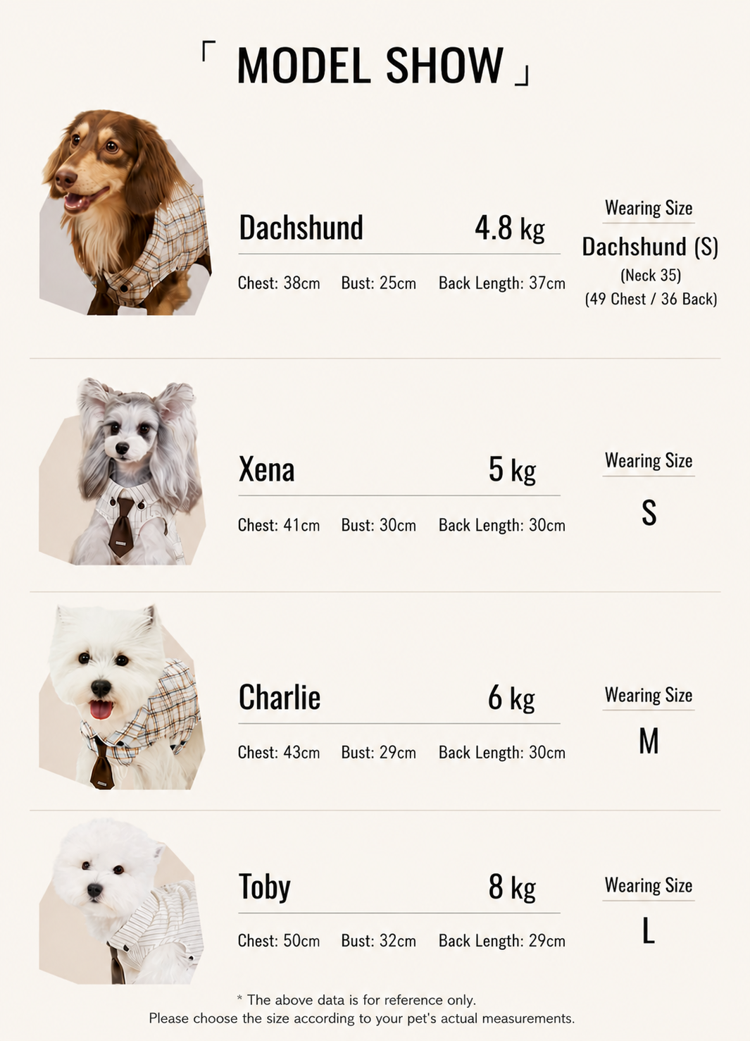 A size guide infographic for a dog sweater, titled 'MODEL SHOW'. It features photos of four dogs (Dachshund, Xena, Charlie, and Toby) with their weights, measurements, and corresponding sweater sizes (S, M, and L) listed on a light beige background.