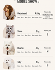 A size guide infographic for a dog sweater, titled 'MODEL SHOW'. It features photos of four dogs (Dachshund, Xena, Charlie, and Toby) with their weights, measurements, and corresponding sweater sizes (S, M, and L) listed on a light beige background.