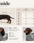 Moonlight Silver Dachshund Winter Jumpsuit