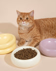 Stackable Serenity Cat Bowls