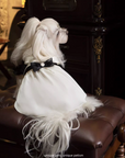 Black Bow Edition - Timeless Elegance Pet Dress