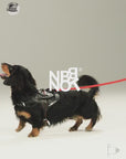 Urban Barkin Leather Walking Set