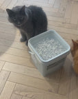 pidan 3-in-1 Blend Cat Litter (Tofu, Spherical Bentonite Clay, Activated Carbon Infused Tofu)