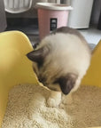 Pidan Cassava & Tofu Clumping Cat Litter